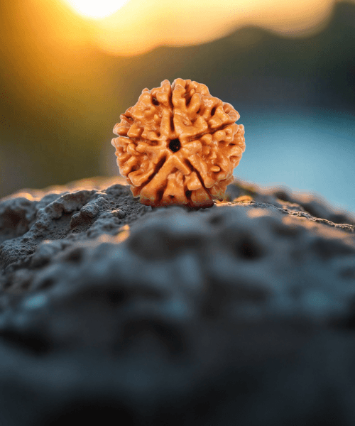 Energized 5 Mukhi Jap Mala