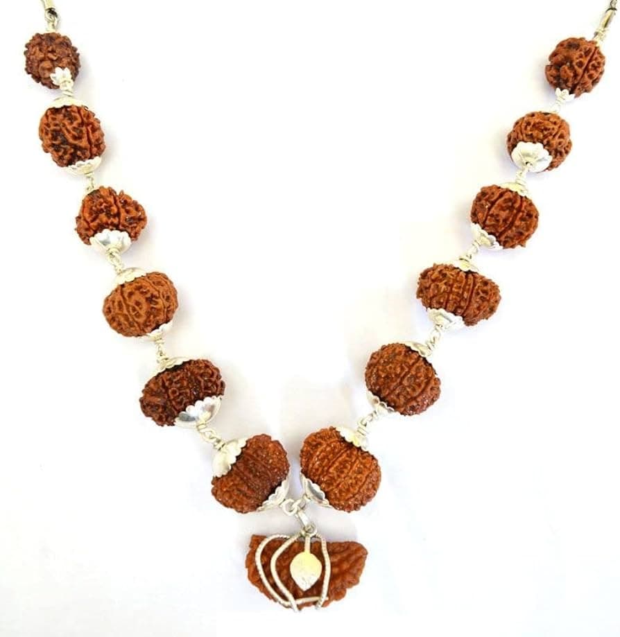 3 Mukhi Rudraksha