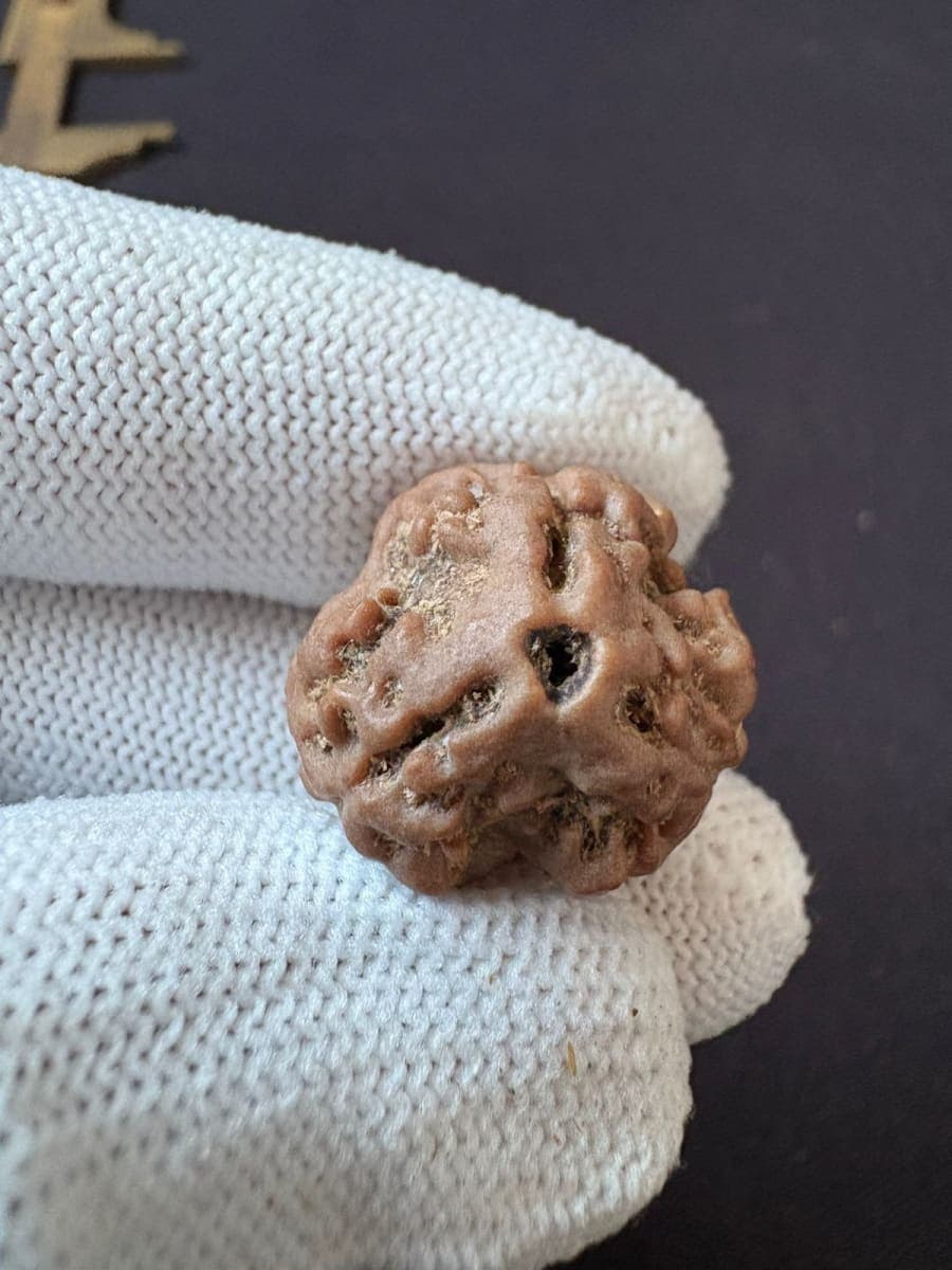 3mukhi1